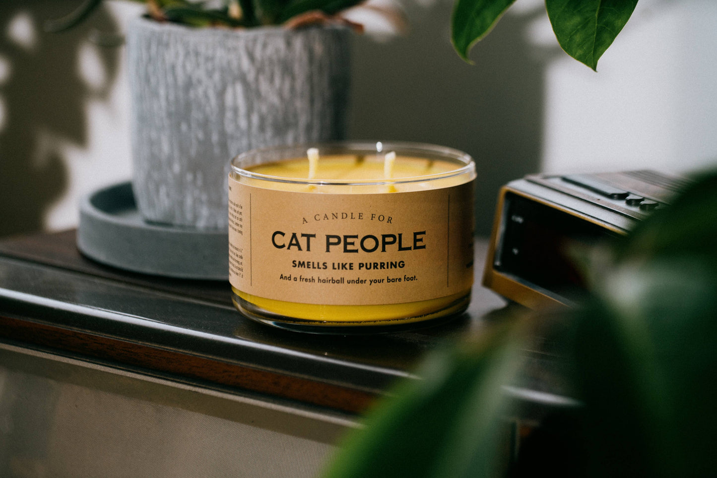 A Candle for Cat People | Funny Candle