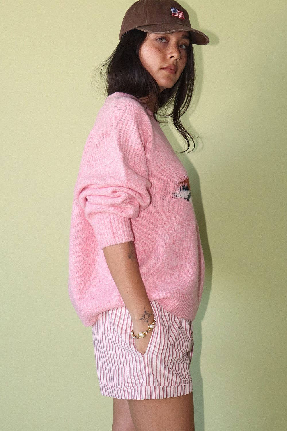 Duck Graphic Knit Sweater