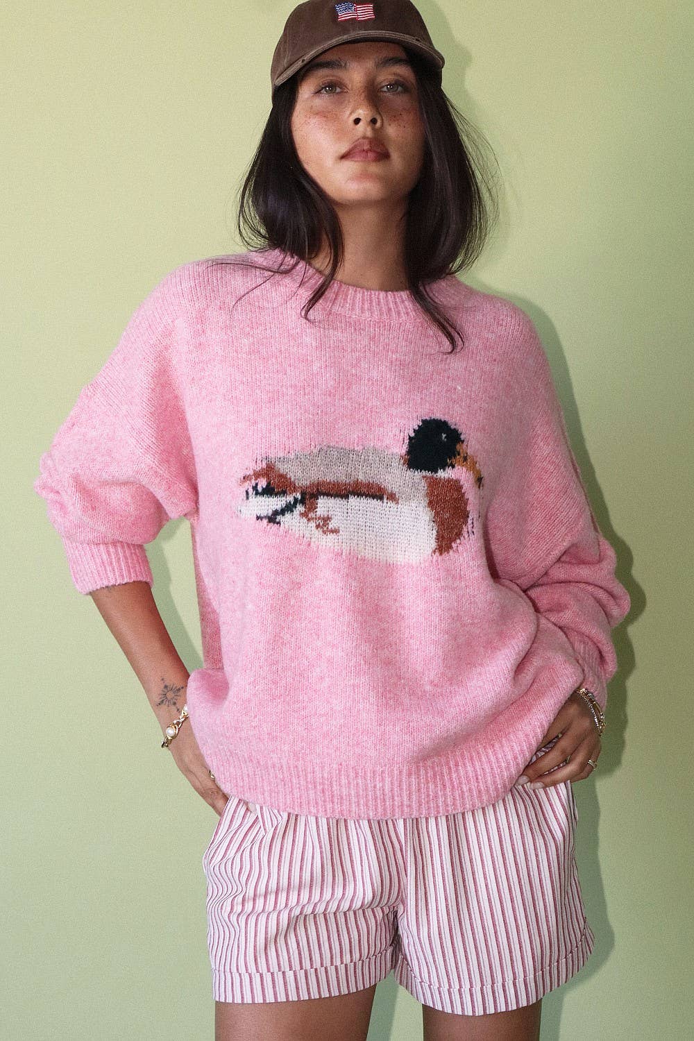 Duck Graphic Knit Sweater