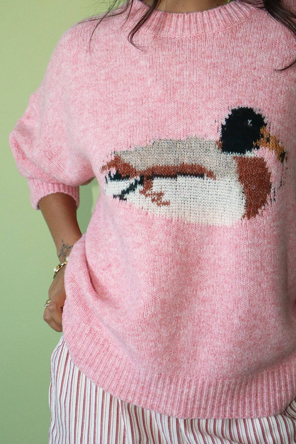 Duck Graphic Knit Sweater